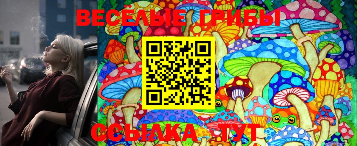Псилоцибиновые грибы Cubensis Заволжье