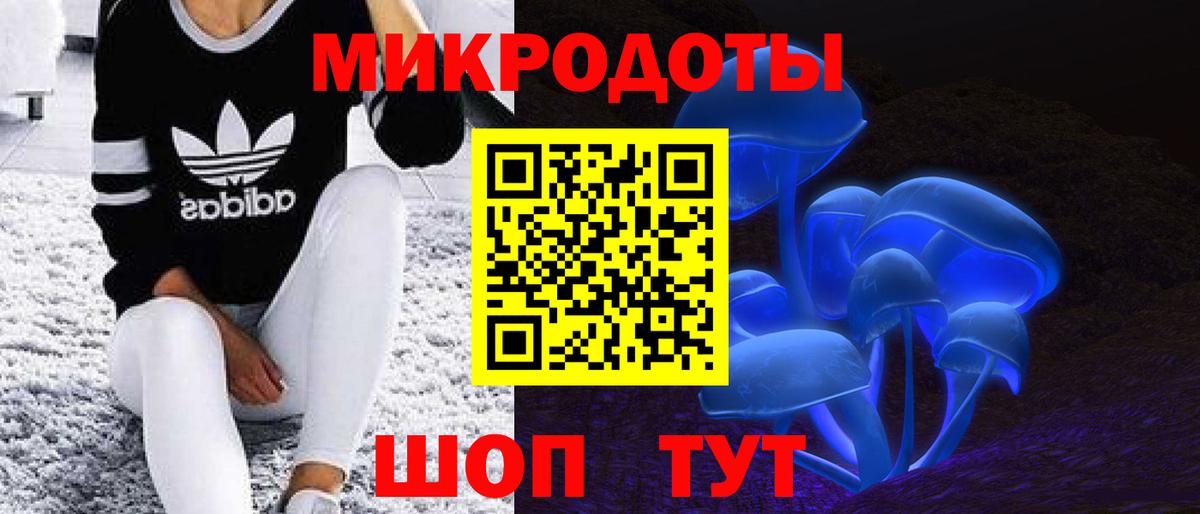 Заволжье  Псилоцибиновые грибы прущие грибы  Галлюциногенные грибы GOLDEN TEACHER  Вход с VPN 